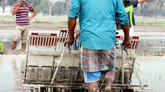 Uses of Automatic Rice Transplanter in Bangladesh