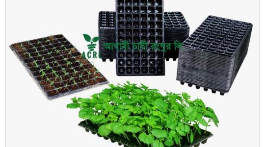 Uses of Seedling tray in Bangladesh