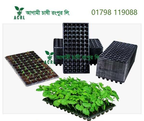 Uses of Seedling tray in Bangladesh